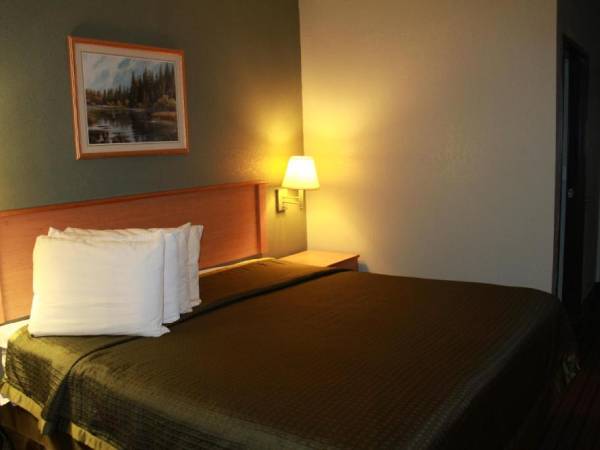 Discover the Hidden Gems of Pineville Missouri